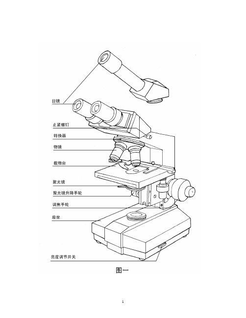 XSZ-G显微镜说明书正文