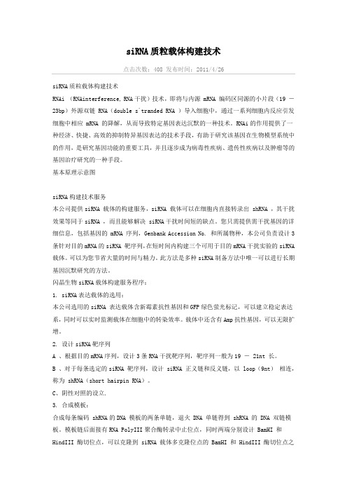 siRNA质粒载体构建技术