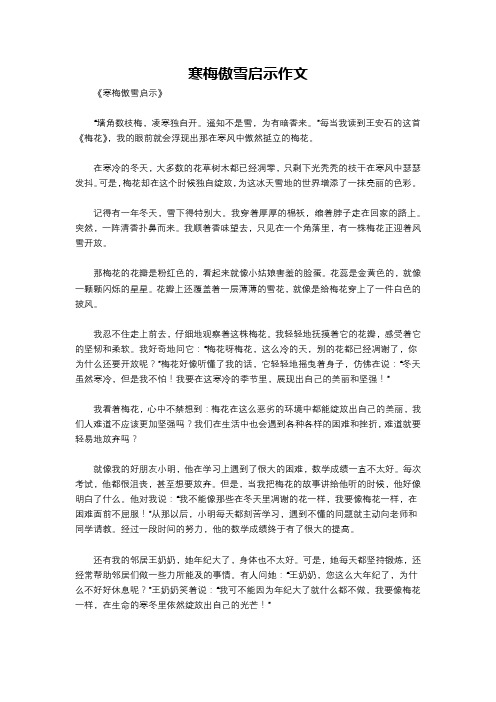 寒梅傲雪启示作文