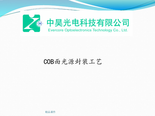 COB封装工艺流程