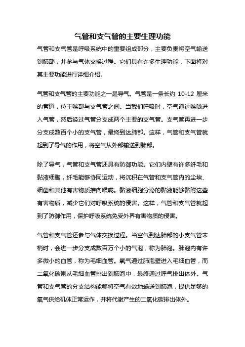 气管和支气管的主要生理功能