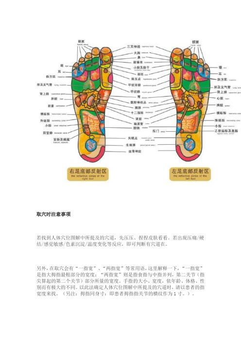 人体足部反射区图解