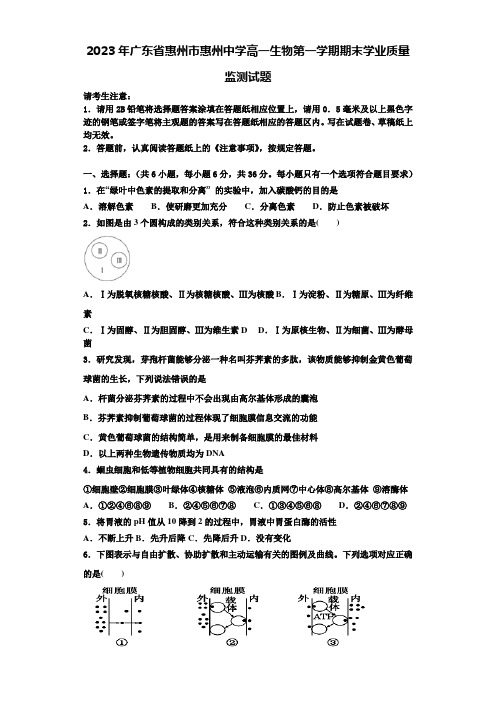 2023年广东省惠州市惠州中学高一生物第一学期期末学业质量监测试题含解析