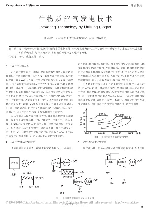 生物质沼气发电技术