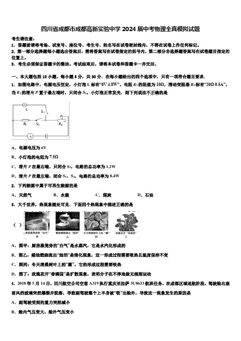 四川省成都市成都高新实验中学2024届中考物理全真模拟试题含解析