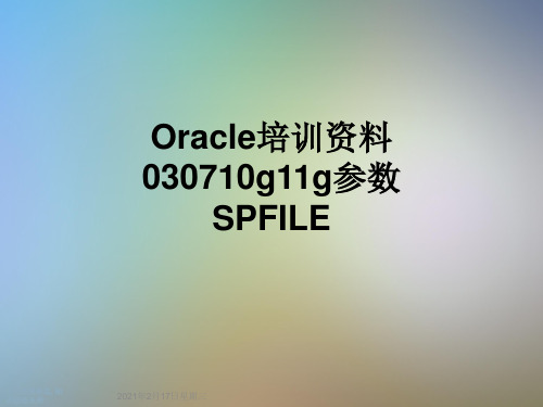 Oracle培训资料030710g11g参数SPFILE