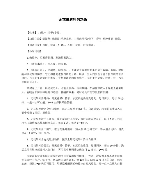 无花果树叶的功效