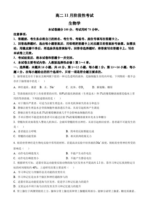 广西名校联盟2024-2025学年高二上学期11月期中阶段性考试生物试题(含答案)