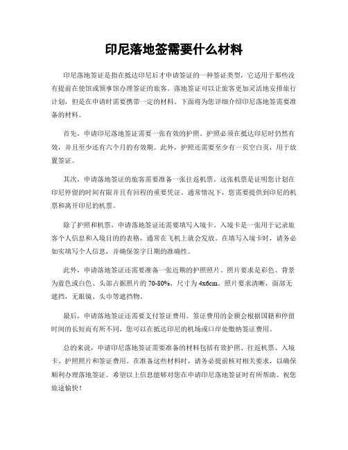 印尼落地签需要什么材料