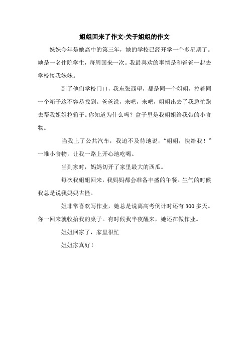 姐姐回来了作文-关于姐姐的作文.doc