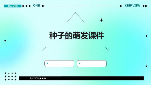 种子的萌发课件(新人教版)