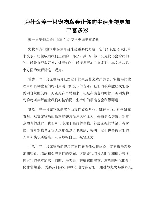 为什么养一只宠物鸟会让你的生活变得更加丰富多彩