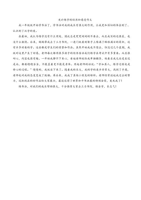 关於练字的经历和感受作文