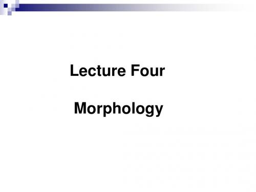 Chapter 03 Morphology