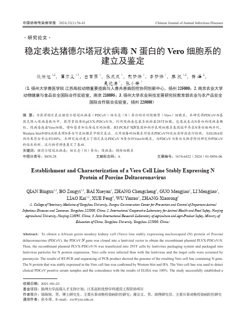 稳定表达猪德尔塔冠状病毒N_蛋白的Vero_细胞系的建立及鉴定