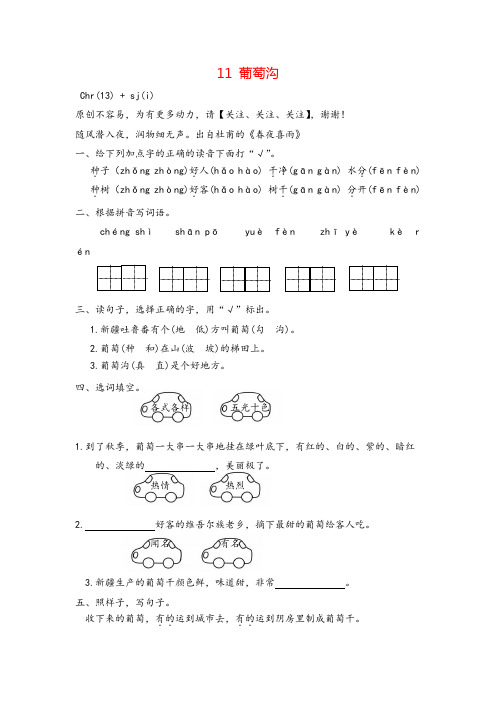 部编版二年级上册语文11 葡萄沟课时练习与答案