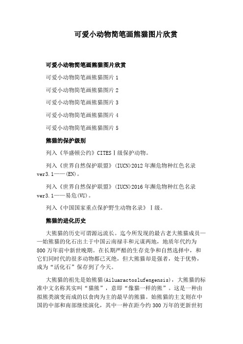 可爱小动物简笔画熊猫图片欣赏