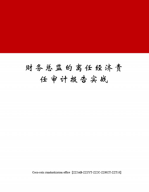 财务总监的离任经济责任审计报告实战