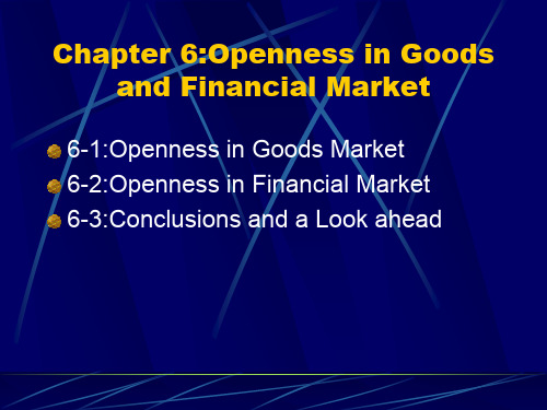 商品和金融市场的开放性(英文版)Openness in Goods and Financial Market