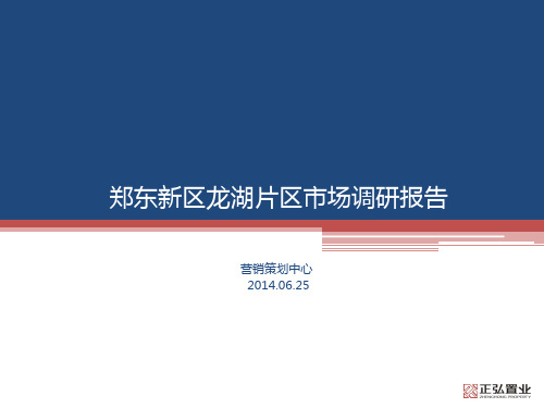 2014年郑东新区龙湖片区调研报告60p