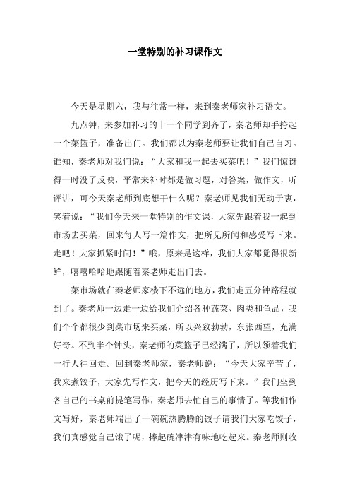 一堂特别的补习课作文