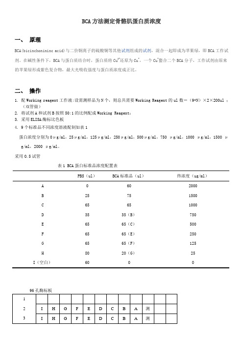 BCA方法测定骨骼肌蛋白质浓度