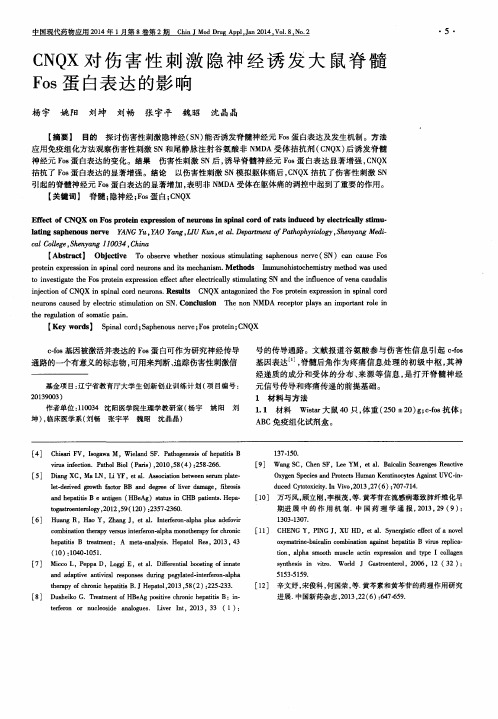 CNQX对伤害性刺激隐神经诱发大鼠脊髓Fos蛋白表达的影响