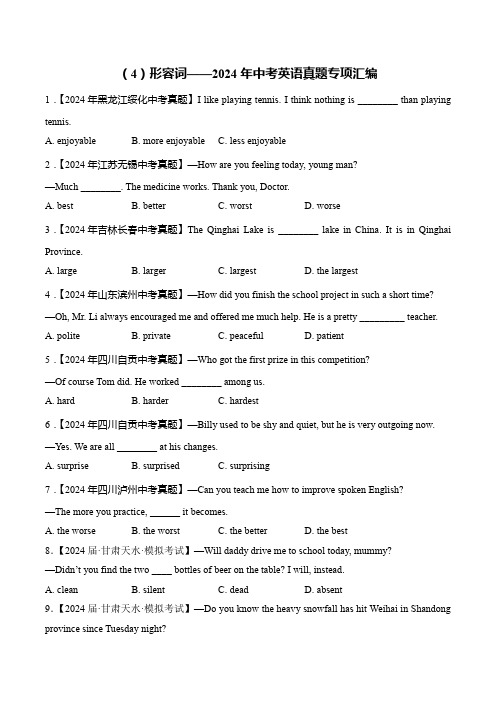 (4)形容词-2024年中考英语真题专项汇编