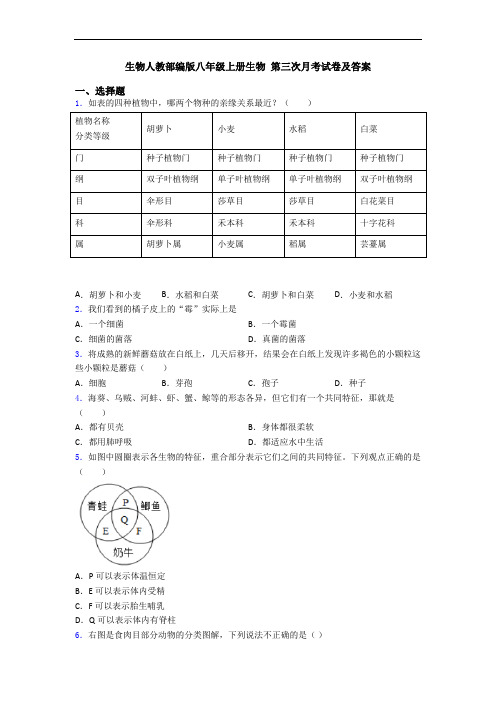 生物人教部编版八年级上册生物 第三次月考试卷及答案