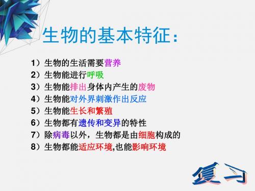 调查周边环境中的生物