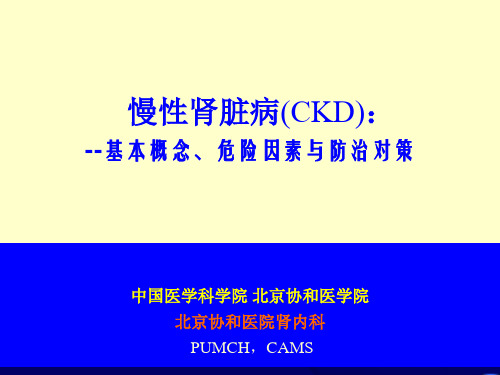 CKD的危险因素与防治对策-2010.12