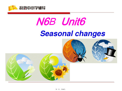 最新上海版牛津英语 6B U6精品课件