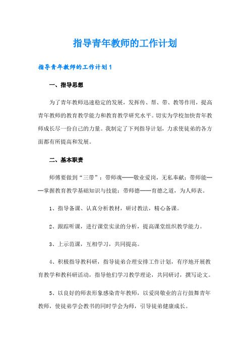 指导青年教师的工作计划