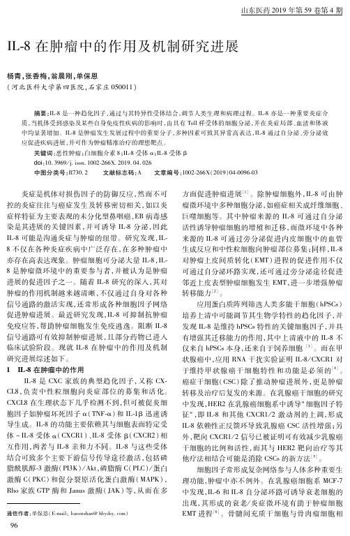 IL-8在肿瘤中的作用及机制研究进展