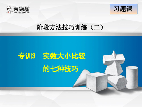 专训3  实数大小比较的七种技巧