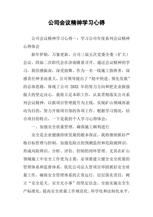 公司会议精神学习心得