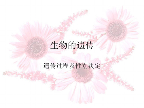 科教版八年级下册生物的遗传(3)