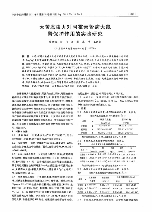 大黄  虫丸对阿霉素肾病大鼠肾保护作用的实验研究