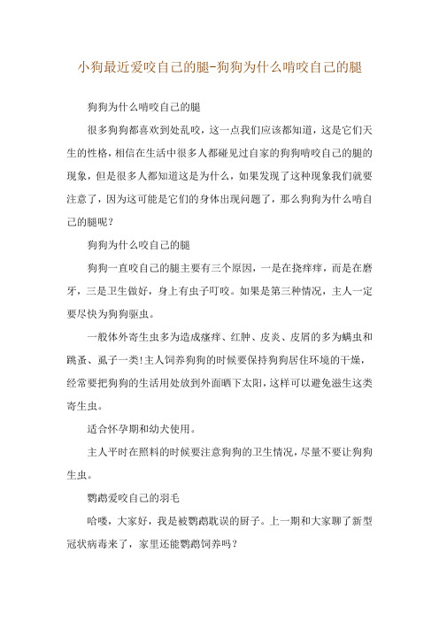 小狗最近爱咬自己的腿-狗狗为什么啃咬自己的腿