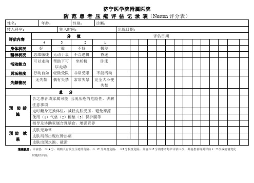 NORTON评分表