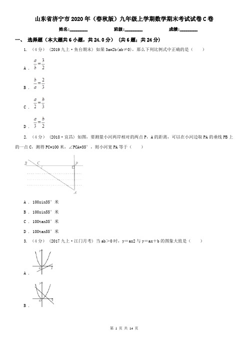 山东省济宁市2020年(春秋版)九年级上学期数学期末考试试卷C卷