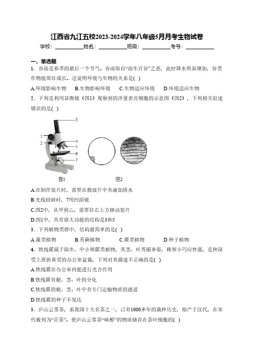 江西省九江五校2023-2024学年八年级5月月考生物试卷(含解析)