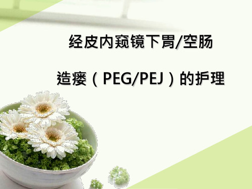 经皮内窥镜下胃空肠造瘘PEG、PEJ的护理