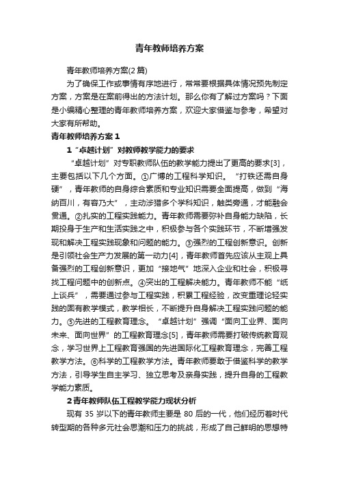 青年教师培养方案