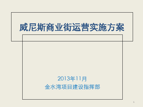 某商业街运营实施方案PPT(共 68张)