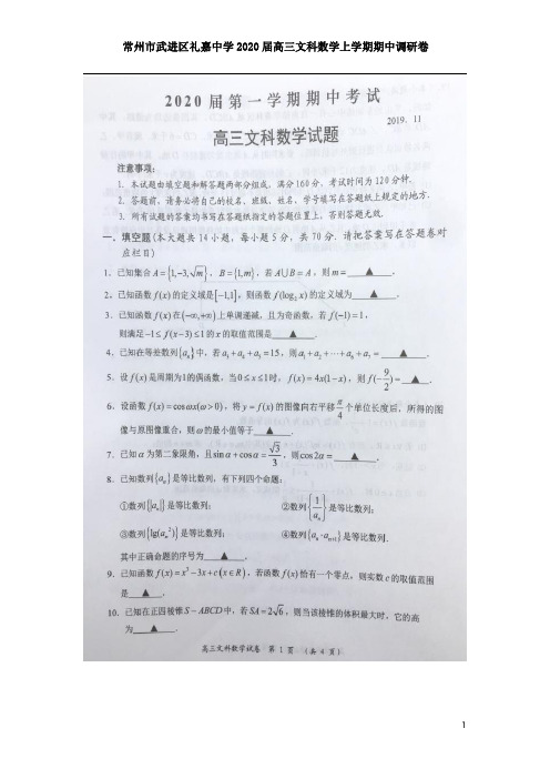 江苏省常州市武进区礼嘉中学2020届高三文科数学上学期期中调研卷附答案详析