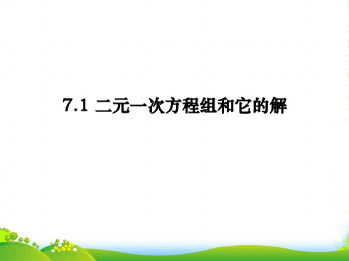 华师大版七年级数学下册第七章《二元一次方程组和它的解》优质公开课课件4