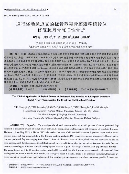 逆行桡动脉返支的桡骨茎突骨膜瓣移植转位修复腕舟骨陈旧性骨折