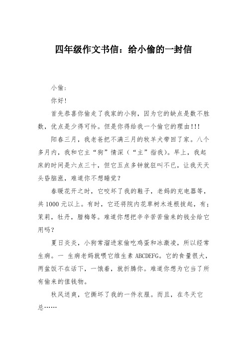 四年级作文书信:给小偷的一封信