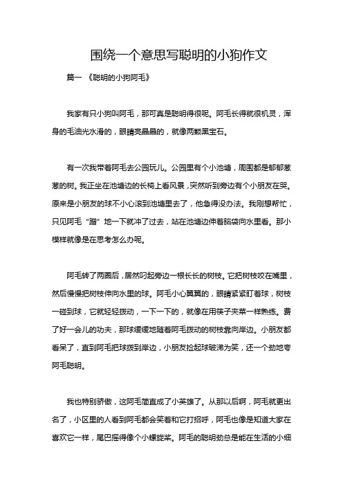 围绕一个意思写聪明的小狗作文